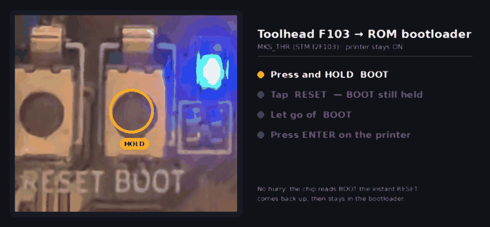 Animated: hold BOOT, tap RESET, release BOOT, press ENTER — shown on the real toolhead board